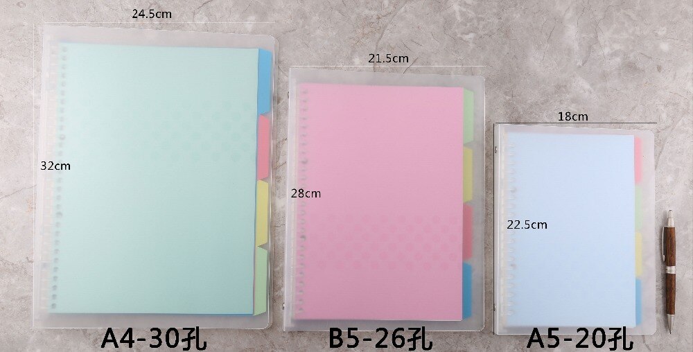 Princess Light Color Loose-leaf Pages A4 B5 A5 Handbook In The Index Page Inside The Page Binder