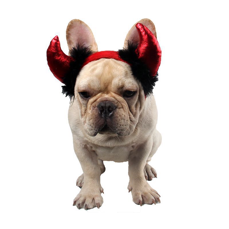 Halloween huisdierbenodigdheden halloween kat hoorn pet vampier kleine duivel volwassen hoorn pet