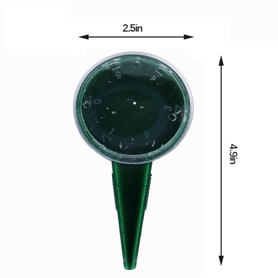 Vegetable visual data 7