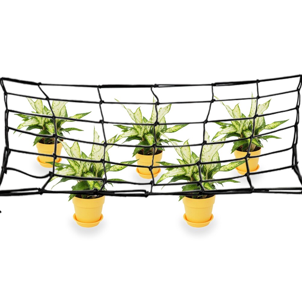 Malla de enrejado elástica de goma para jardín de 80x80 cm, Red de soporte para tienda de cultivo de jardín para plantas de vid trepadora de verduras y flores