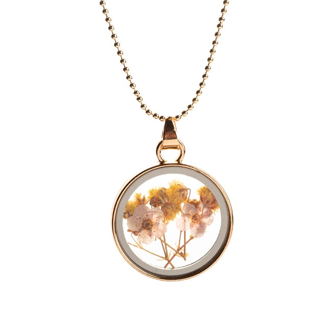 Real Natural Dried Flower Necklace Round Glass Pendant Necklace For Women Jewelry Mother's Day: Color1