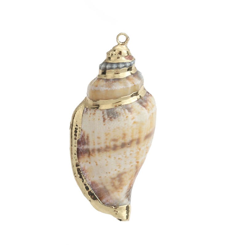 5 PCs Natural Shell Pendants Gold Conch/ Sea Snail Multicolors Charms For DIY Handmade Jewelry Making: 1