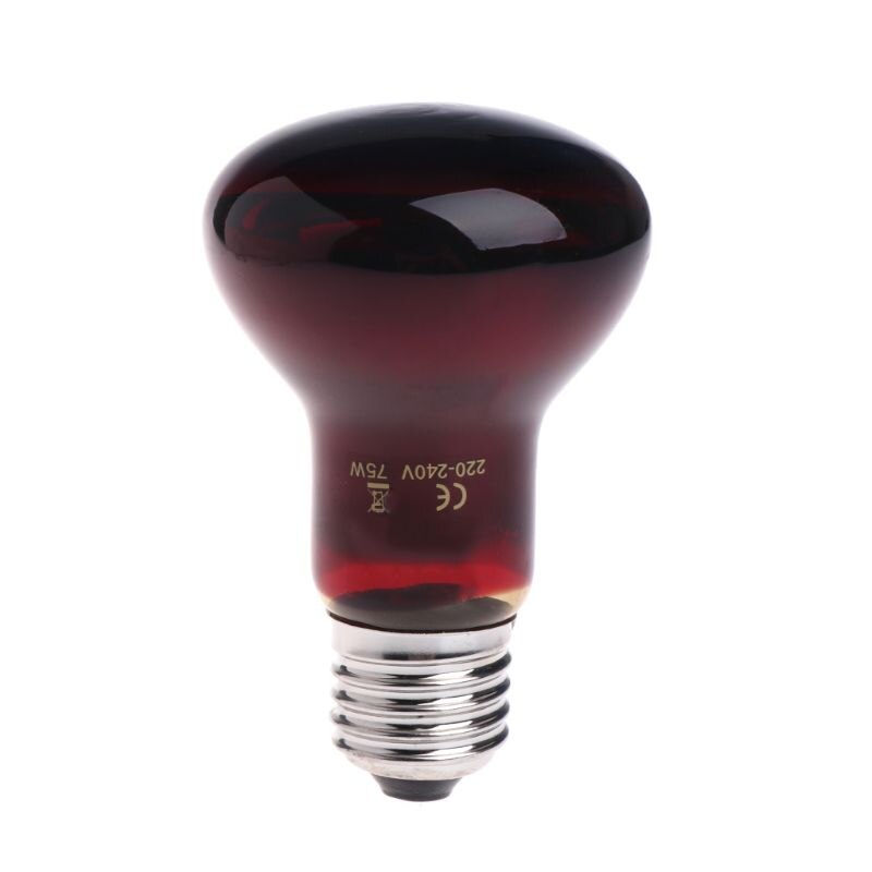 Reptile Amphibian Heat Bulb 220-240V 25W50W75W100W Infrared Emitted Night Light