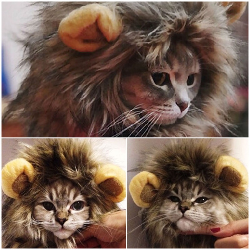 Perruque en crinière de Lion pour animaux de compagnie, chapeau, chat, mignon, décoration de noël, chien, chapeaux, Festival, fête, accessoires pour animaux de compagnie