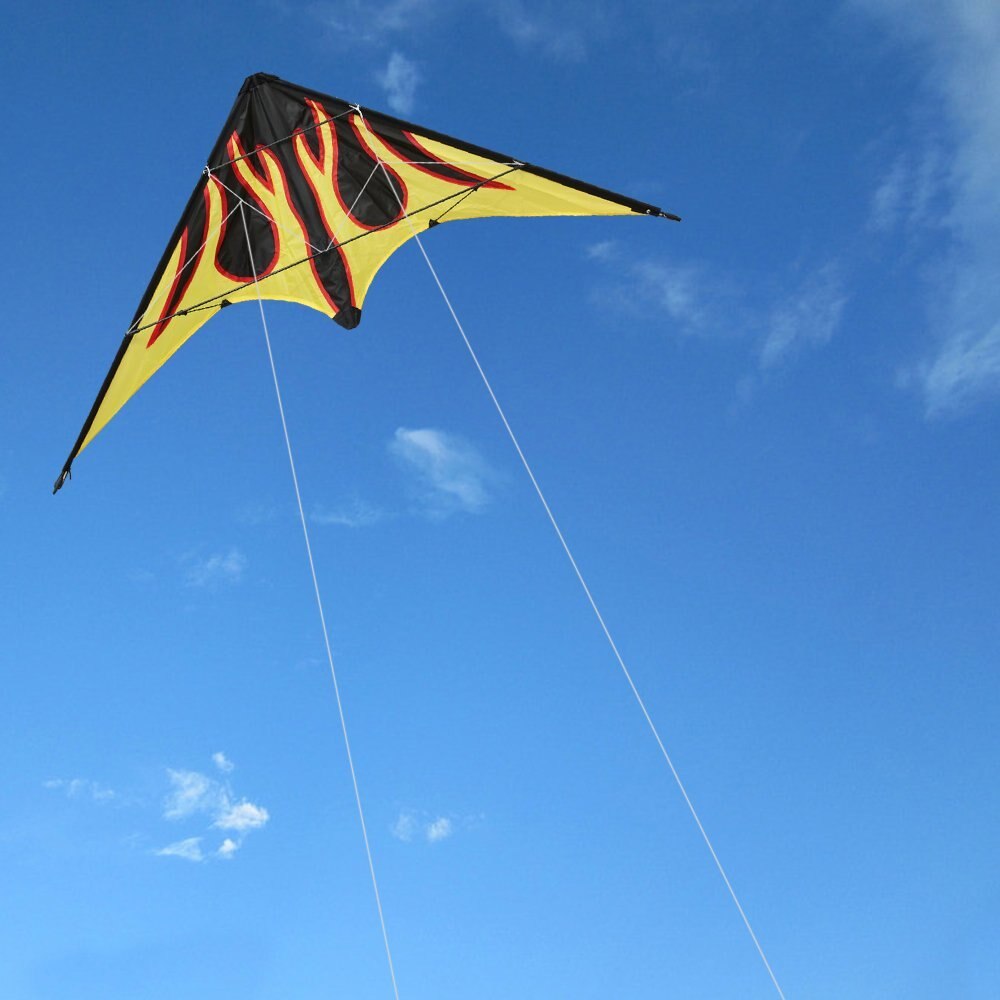 Outdoor Fun Sports 48 Inch Dual Line Stunt Kites / Flame Kite With Handle And Line Good Flying