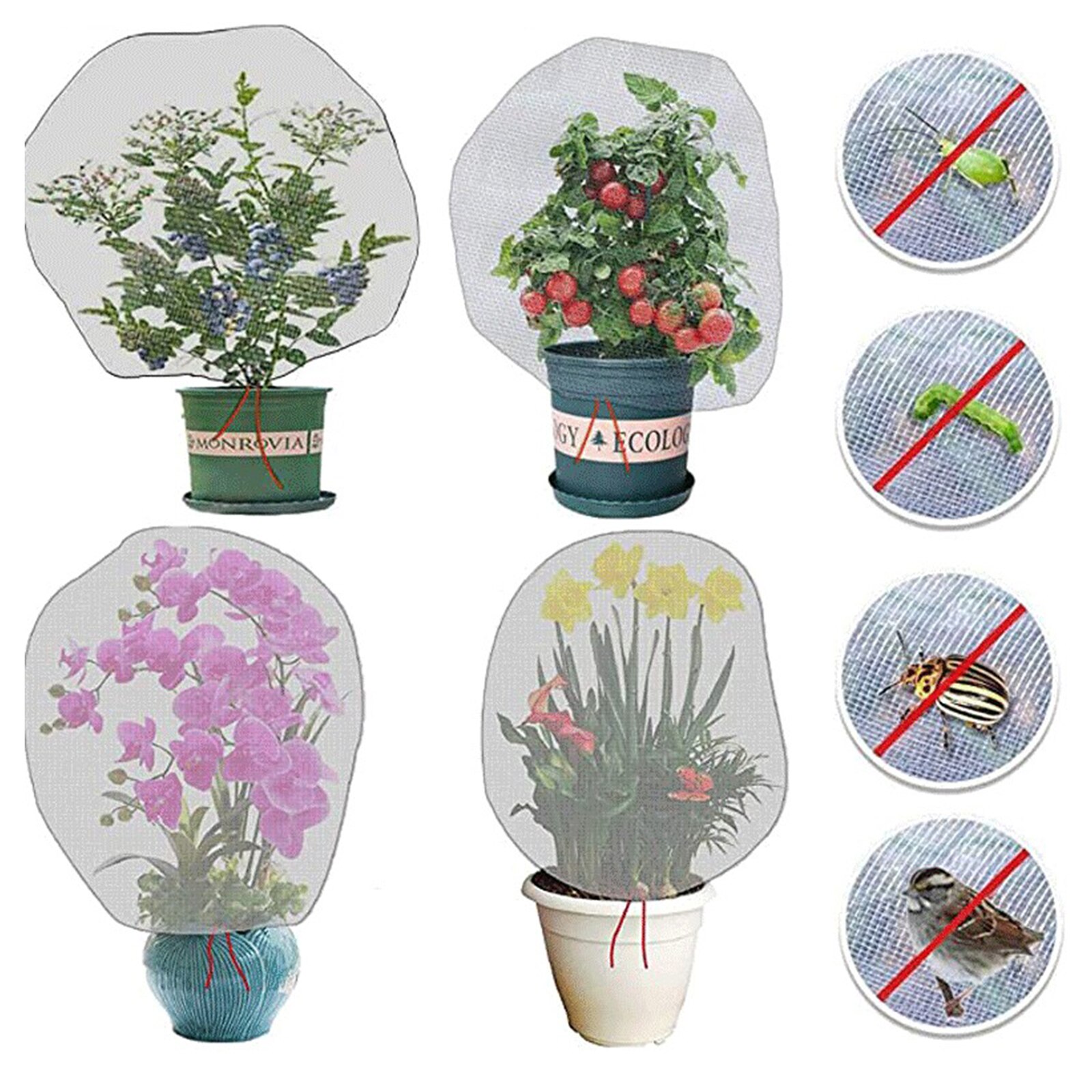 Insect Bird Barrier Bug Netting Fruits And Trees P... – Grandado