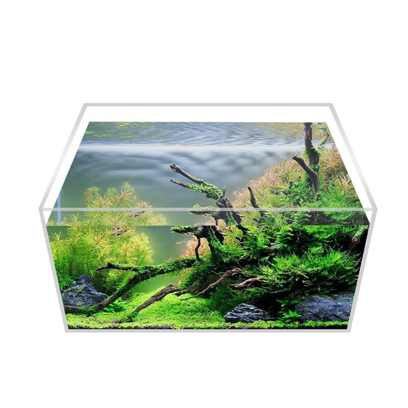 Pecera acrílica ultra blanca, acuario abierto, pequeña planta de agua, tortuga