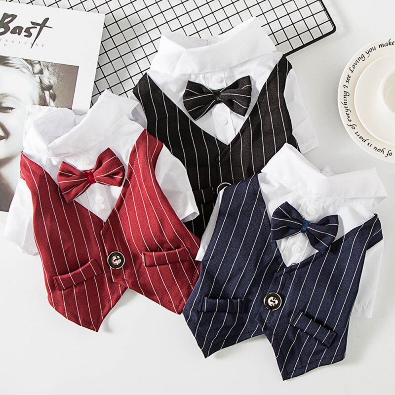Costume de mariage pour chien, chemise formelle pour petit chien, nœud papillon, costume pour animal de compagnie, costume pour chat