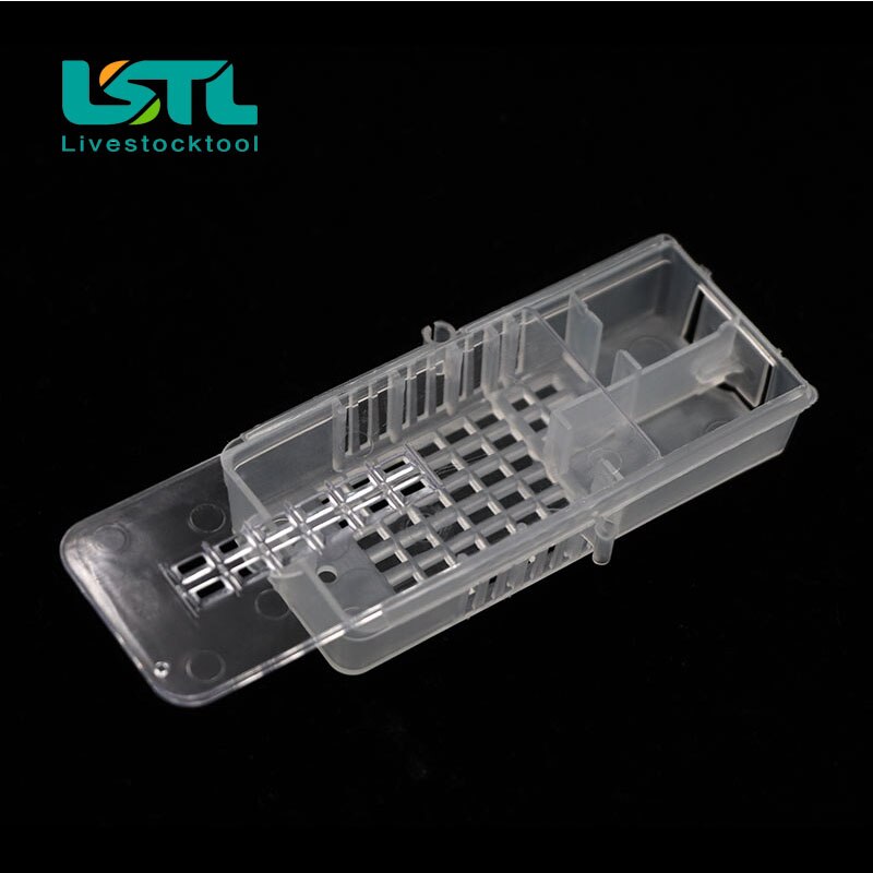 5 Pcs Beekeeping Transport Queen Bee Cages Queen House Beehive White transparent Queen Bee Cage