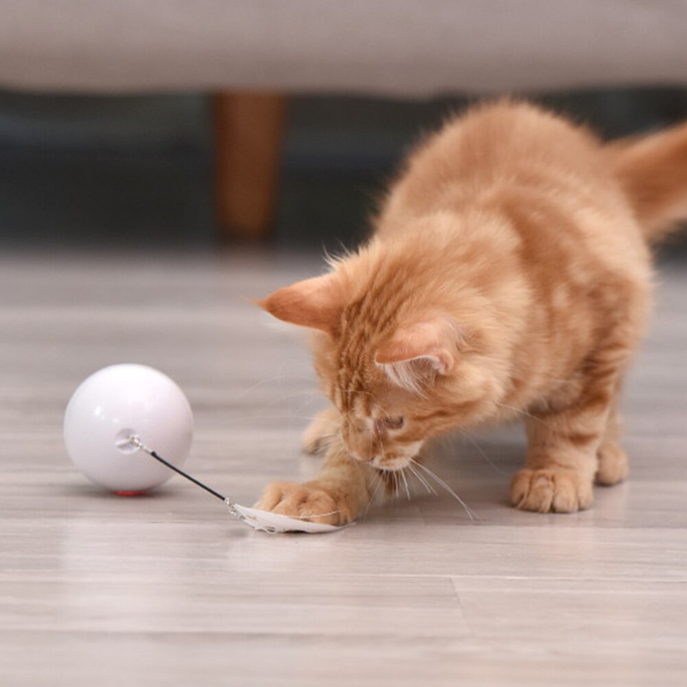 Juguete interactivo para gatos con carga USB, bola giratoria automática, juguete de plumas, LED/campana integrada