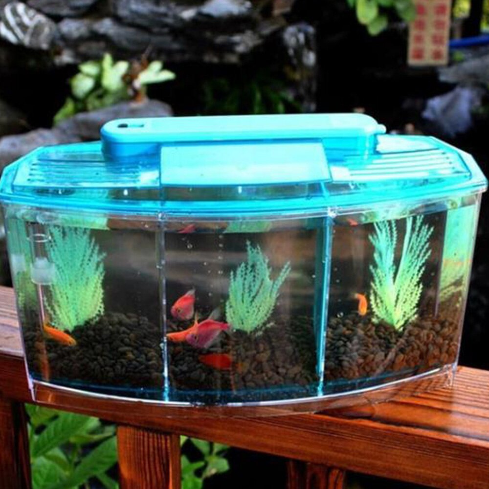 1 pc Aquarium Acrylic Fighting Fish Box Tank BettaTankThree Grid Fish Supplies Accessries