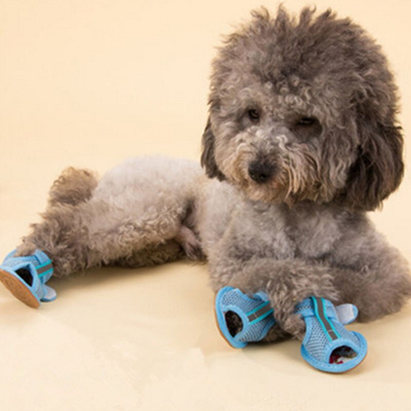 4 Stks/set Oxford Antislip Zomer Schoenen Ademende Sandalen Laarzen Voor Kleine Honden Chihuahua Hond Sokken Sneakers Huisdier Product gat Schoen