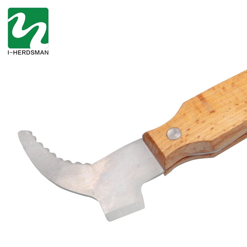 1 Pc Bee Take honey Tools Bee Tools Cut Honey knife Beekeeping Necessary Hive Bee Equipment Scraper