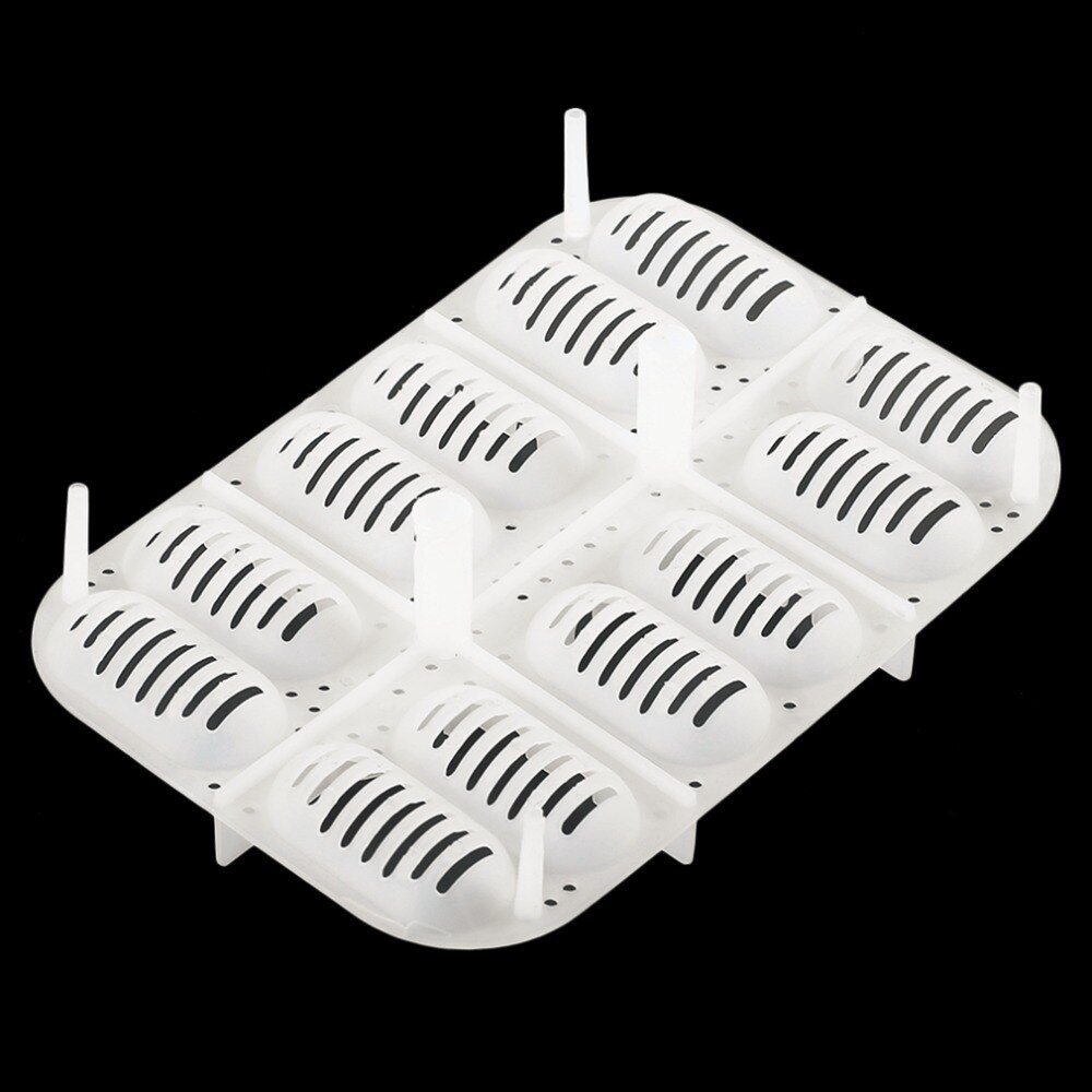 Plastic 12 Holes Reptile Geckos Egg Incubation Tray With Thermometer Incubating Snake Eggs Incubation Tool