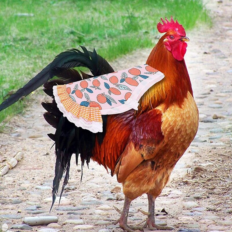 6 Pack Chicken Saddle for Hens-Fruit Pattern Summer Standard Chicken Saddle with Elastic Straps Feather Fixer