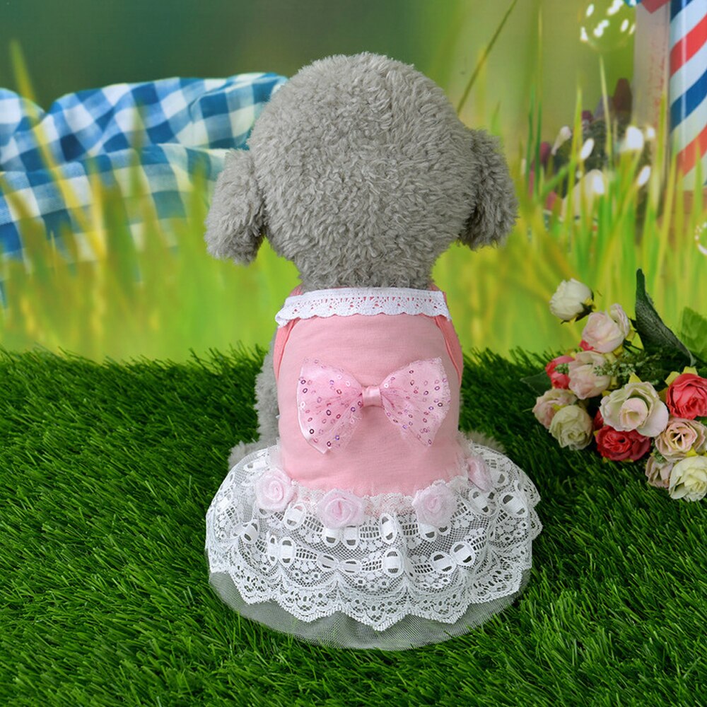 Huisdier kat hondenkleding kleine hond kat prinses kant kleding jurk rok zomer kostuum voor teddy huisdier prinses jurk rok: Roze / Xl