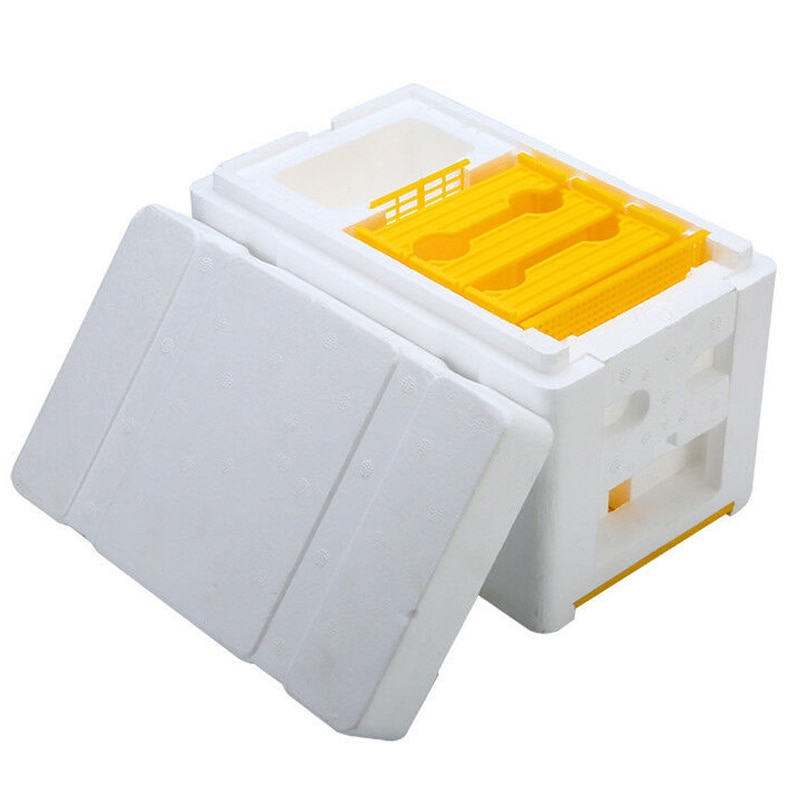 Nueva caja de cría de apicultura Queen, suministros de apicultura, equipo de espuma de colmena para la cosecha de abejas