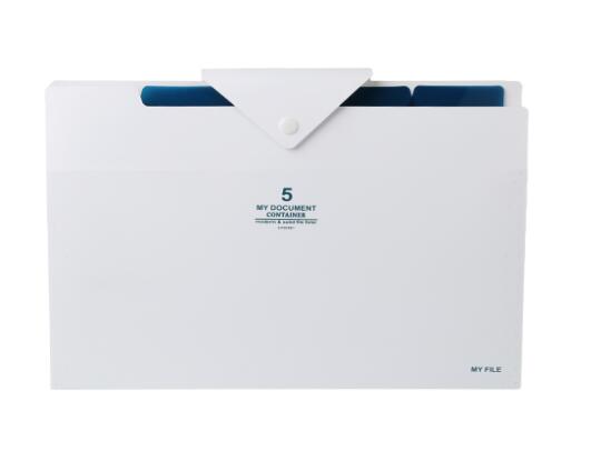 5 warstwa rozkładana teczka rozkładana teczka A4 organizator papieru trzymać teczka na dokumenty: biały