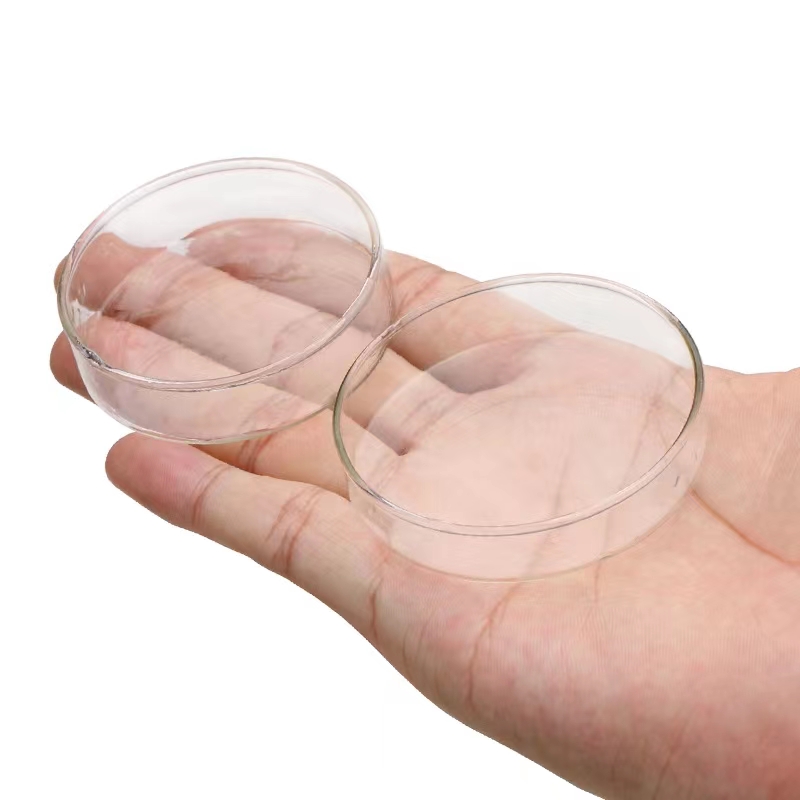 Transparent Aquarium Fish Tank Shrimp Food Feeding Circle Glass Feeder Floating Bottom Feeder Fish Shrimp Aquarium Accessories