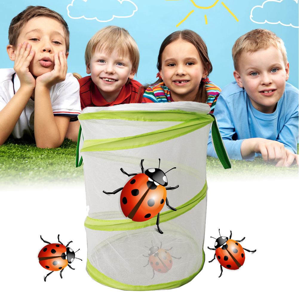 Insect En Vlinder Habitat Vlinder Kooi Insect Fokken Mesh Net Outdoor Tuin Insect Voeden Observatie Doos