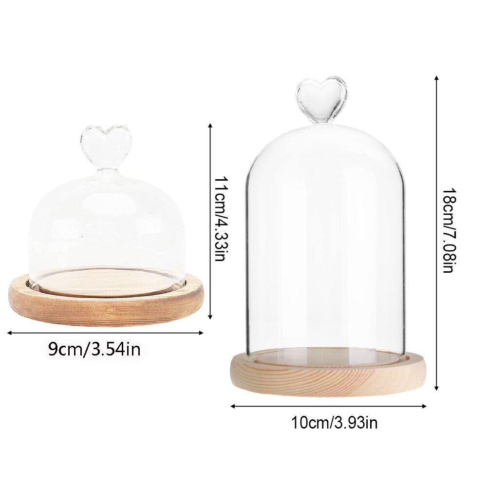 Pot de Cloche en verre avec Base en bois, couverture anti-poussière, ornement de bureau de chambre à coucher pour la maison, fête de noël