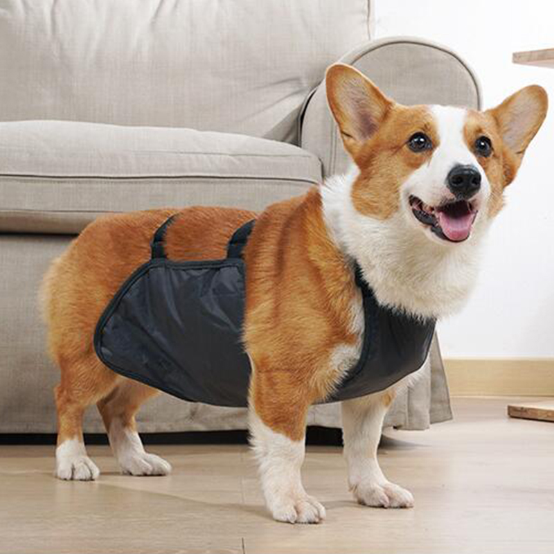 Carlin Corgi animal de compagnie chien Bellyband vêtements imperméable respirant Anti ventre couverture bavoir poche chien Costume Corgi Bellyband gilet