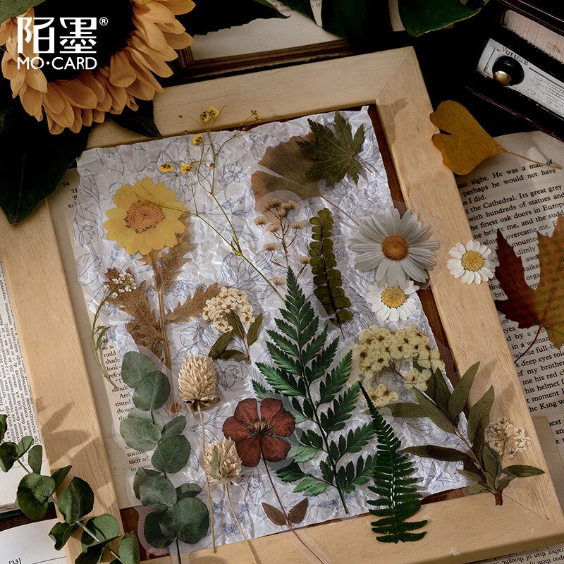 1 sæt /1 parti kawaii papirvarer klistermærker herbarium dagbog dekorative mobile klistermærker scrapbooking diy håndværk klistermærker