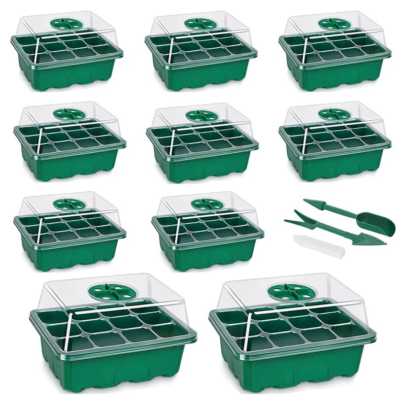 Kit Culture Herbe à Chat - 150g De Graines (10 Sachets) + Pot Hydroponique, Propre Et Facile à Faire Pousser