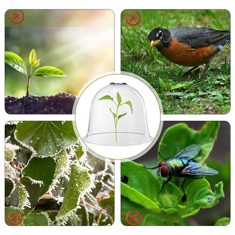Plant Protection Cover Reusable Plastic Keep Warm Cover Transparent Garden Seedling Cover Seed Germination Protection Dome