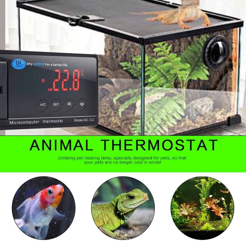 AC-112V akwarium regulator temperatury gadów cyfrowy wyświetlacz inteligentny termostat wtykowy uniwersalny regulator gniazda