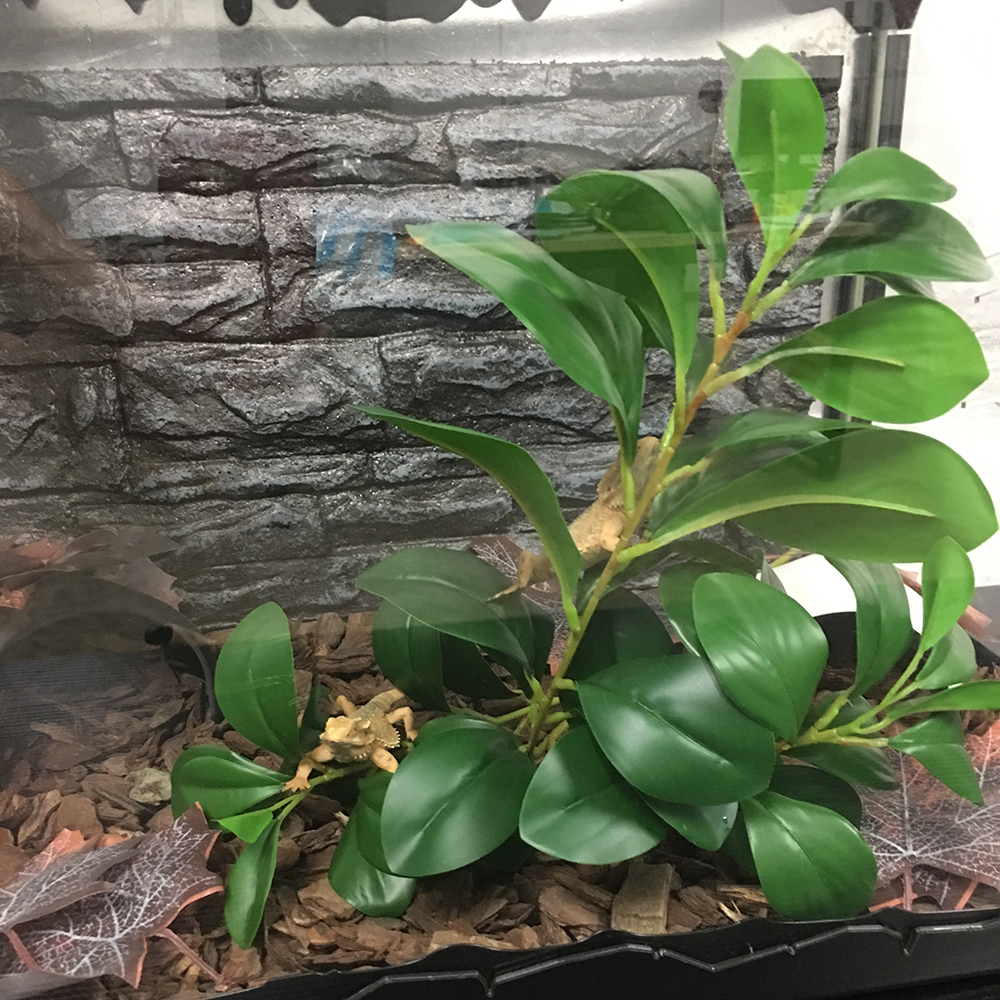 Habitat Decorative Plants Plastic Plant Leaves Branches Simulated Plant for Lizard Frog Spider Snake Reptiles Pets Accessories