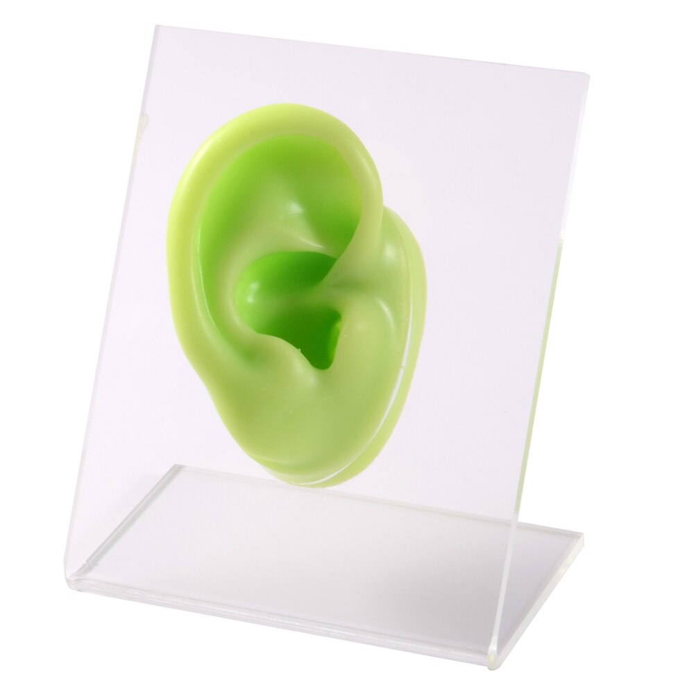 Modello di naso dell&#39;orecchio in Silicone con bordo trasparente pratica professionale piercing strumenti orecchini orecchini a bottone Display può essere riutilizzato gioielli: Green Right