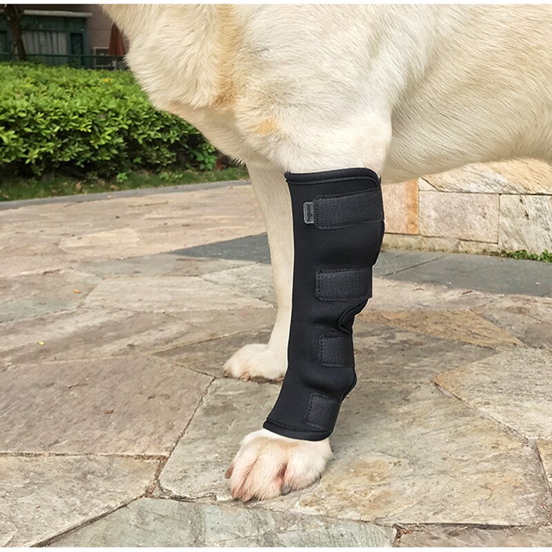 1 stk hunde knæpadsår helbrede bånd hund bagben forben ankel sikkerhed ledd wrap beskytter forhindre gigt skade knæbøjle