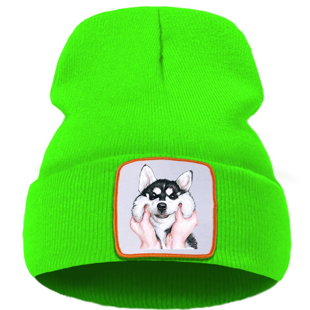 Belle mignon Husky chien Bonnet casquettes femmes hiver coton Skullies chapeau hommes en plein air Hip Hop Bonnet tricoté doux unisexe Beanie chapeaux: green6