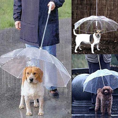 Hund gå vandtæt klart dæksel indbygget snor regn slud sne kæledyr paraply kæledyr produkter