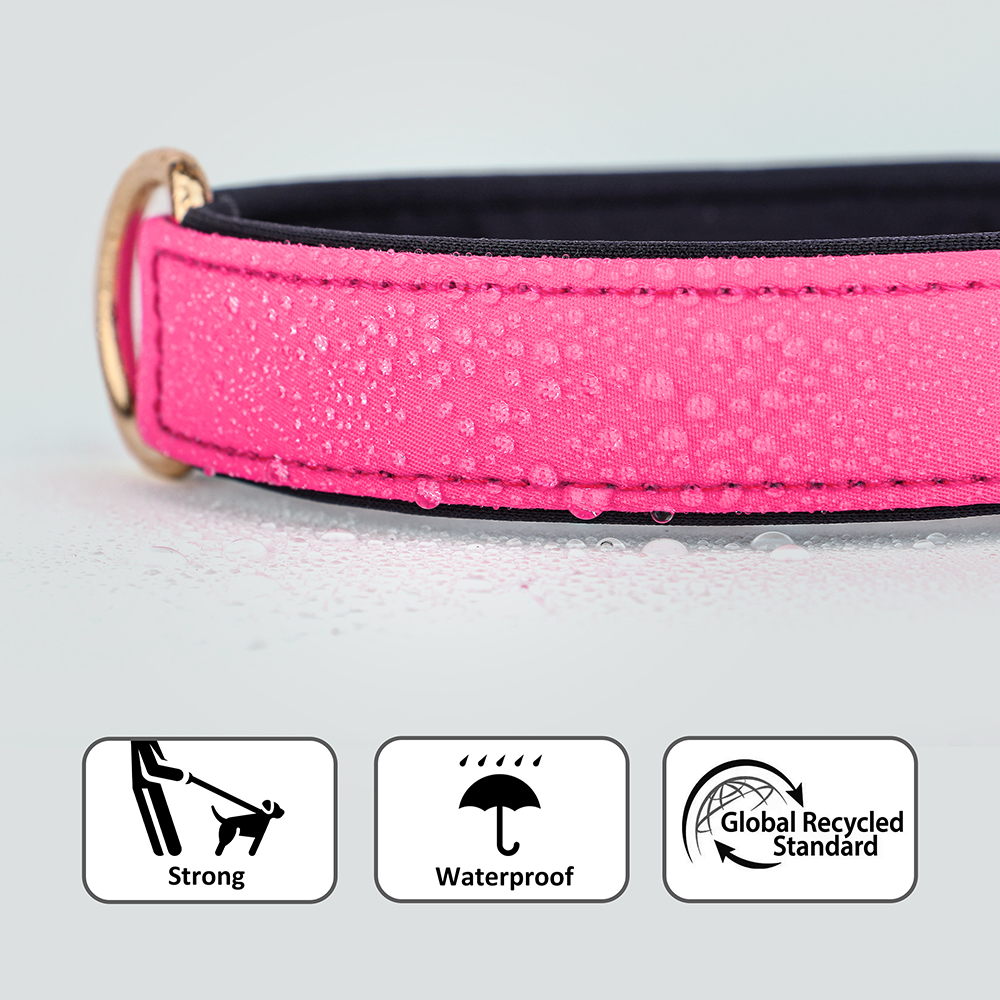 Collier en nylon imperméable pour chien, 8 couleurs, doux, rembourré, respirant, colliers pour animaux de compagnie, petits et moyens chiens, Chihahua, PDPDog, accessoires