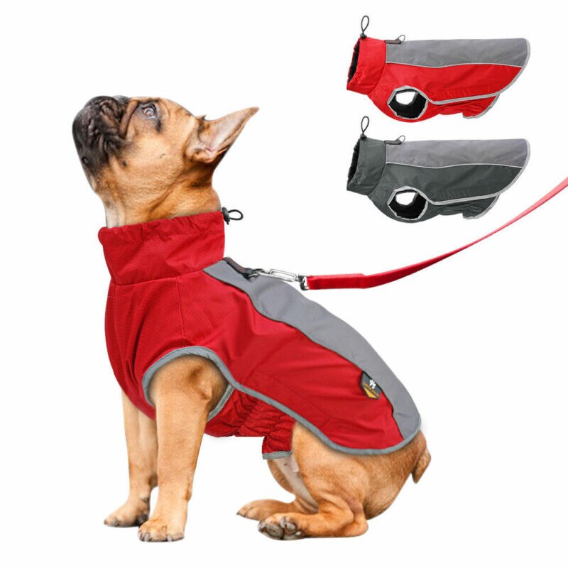 Robe fantaisie d'hiver pour chiots | En coton, veste matelassée, manteau Chihuahua en peluche caniche, imperméable, collection populaire