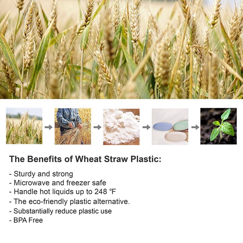 Lichtgewicht & Herbruikbare Tarwe Stro Plastic Platen Een Set Van 4