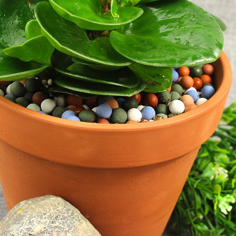 500g Multi couleur boucher pierre Pot décoration Anion terre eau Culture botanique peint poterie céramsite boule jardin teinté