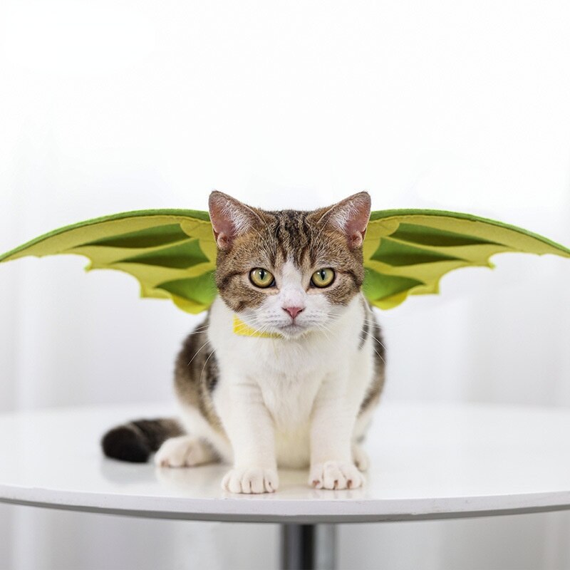 Grappig Cosplay Kostuum Voor Kat Schattige Veilig Dinosaurus Vleugels Doek Voor Pet Novelty Puppy Kitten Foto Rekwisieten Kleding Accessoires CC07