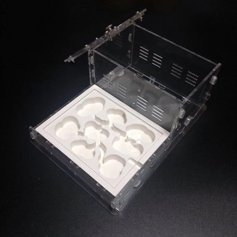 Transparent Ant Villa Flat Nest Ant Workshop Acrylic Ant Small Community Feeding Box: Default Title