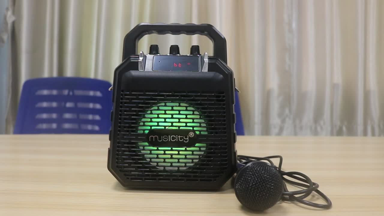 MUSICITY Bluetooth USB Karaoke Amplifier Speaker - Portable Audio Module with Wireless Function