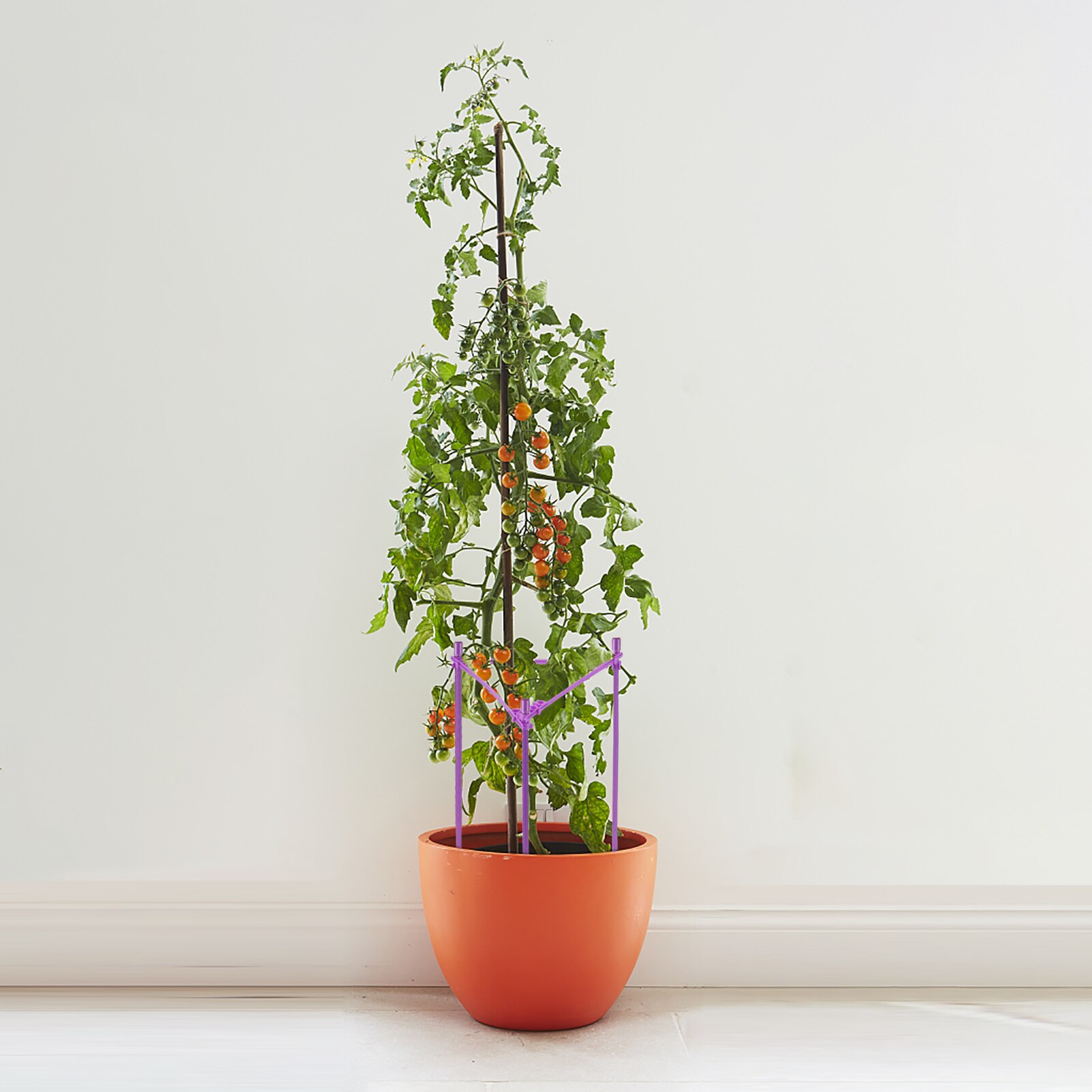 Plant Support Stakes For Indoor Plant Ergonomic Tomato Cages For Garden Adjustable Stake Arms Climbing Trellis Waterproof