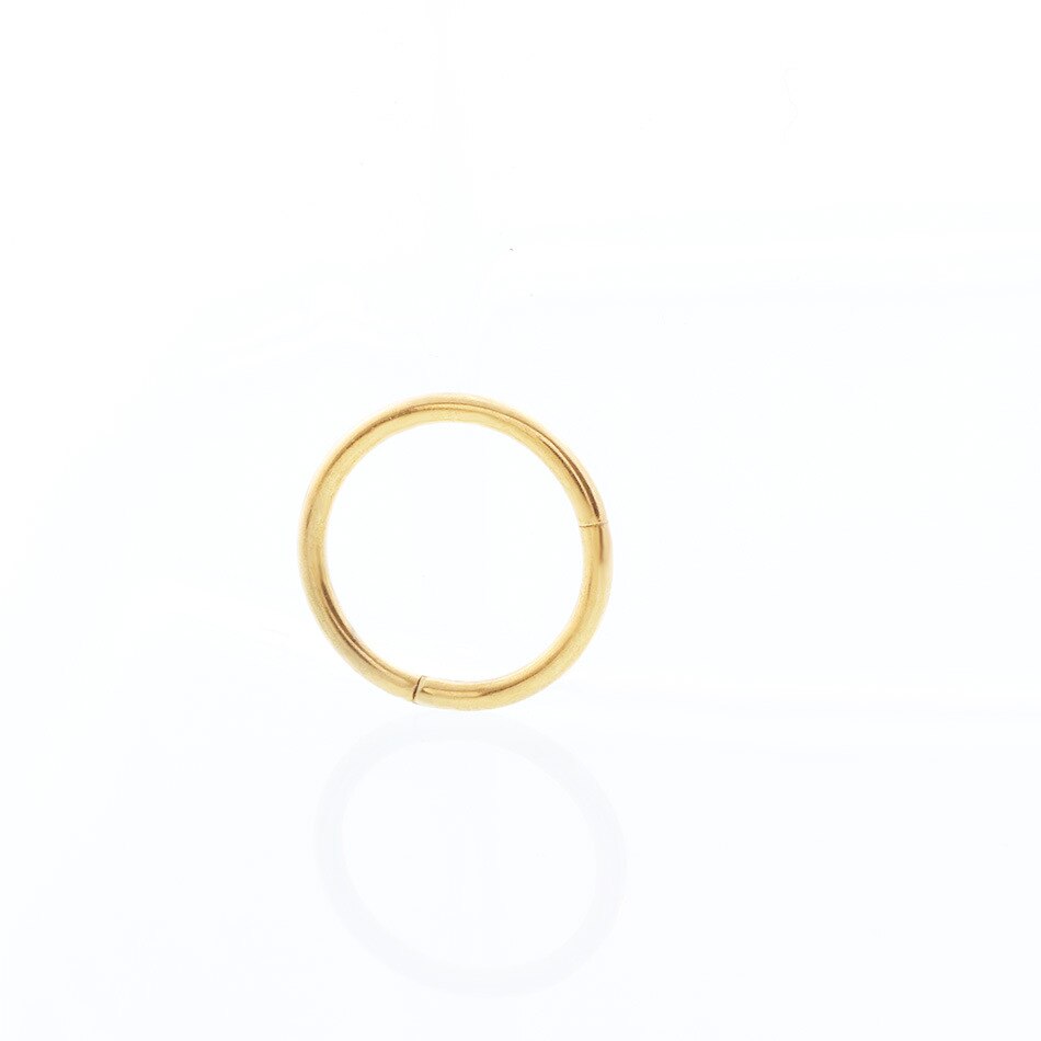 Stainless Steel Piercing Nose Ring Hoop For Women Girls Korean Hinged Segment Earring Nostril Rings Body Punk Jewelry: 10mm Gold