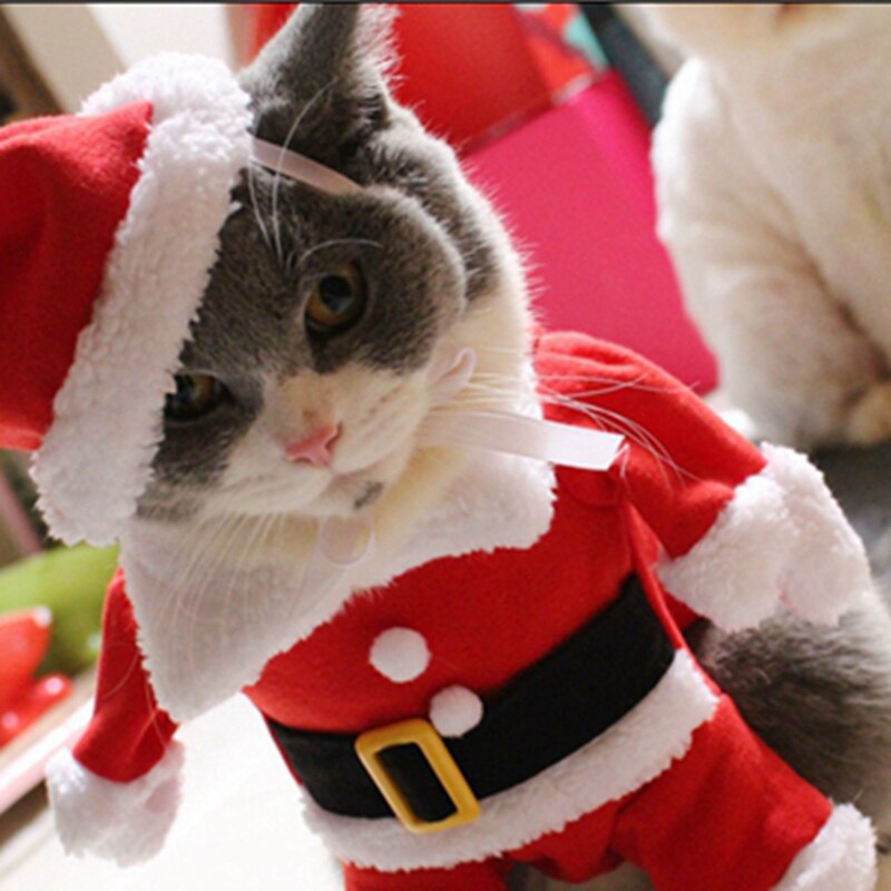 [MPK Gatto Costumi] Babbo natale del costume Del Gatto di!! carino Santa! Rosso Santa animale domestico Gatto Vestiti Vestito, Cappotto Abbigliamento, X-mas costume