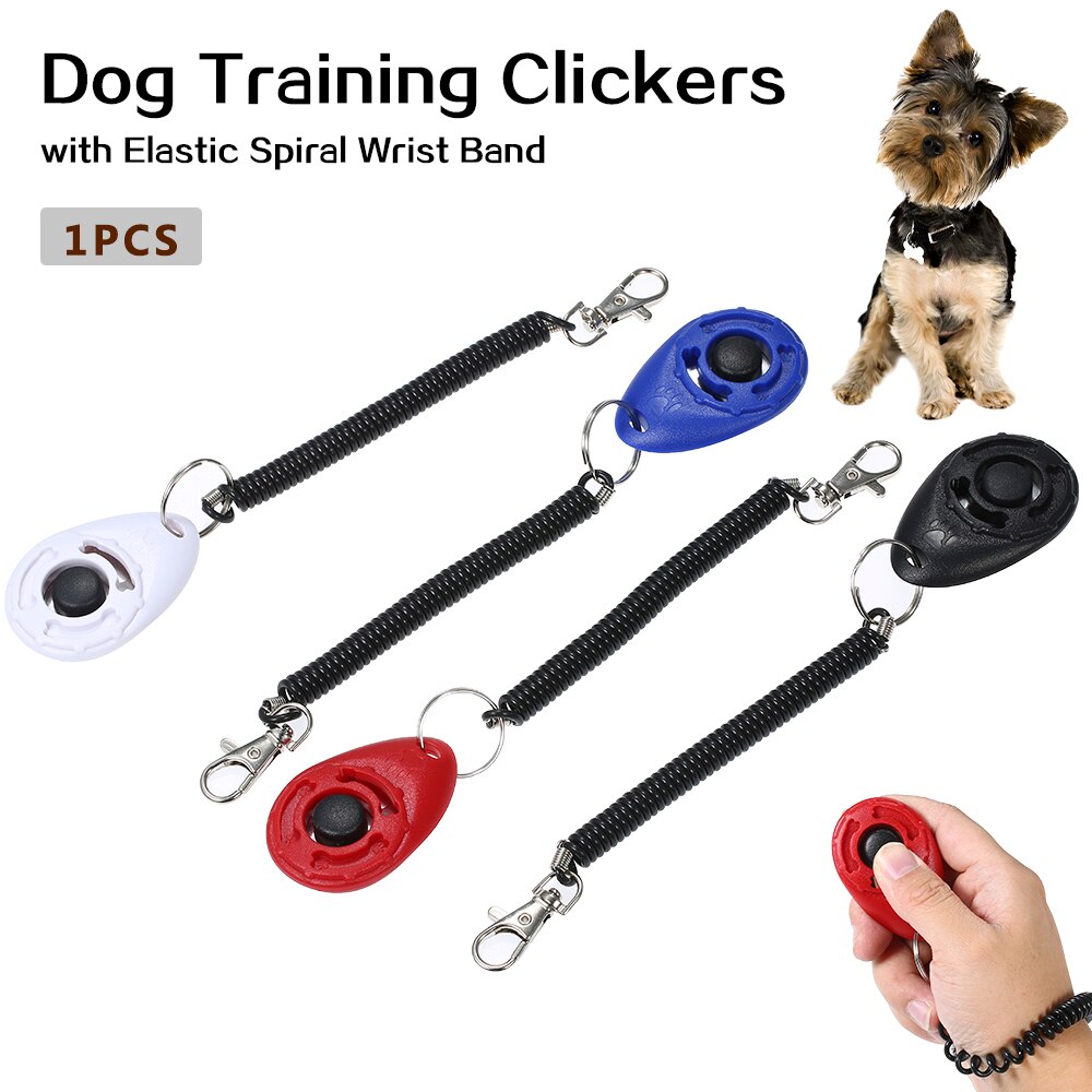Clicker d'entraînement pour chien de compagnie | Avec bracelet élastique en spirale pour entraîner le chien à aller chercher, serrer la main, pipi, Etc