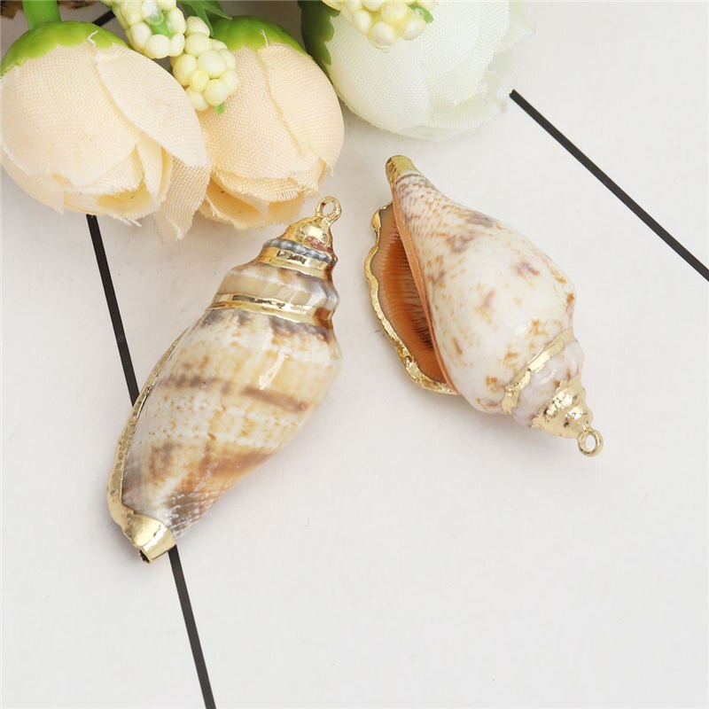 5 PCs Natural Shell Pendants Gold Conch/ Sea Snail Multicolors Charms For DIY Handmade Jewelry Making