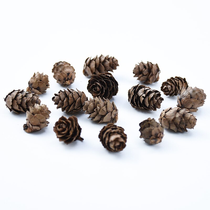 30 peças de cone de pinheiro para decoração de casa, natal, álbum de recortes, flores, plantas artificiais, atacado, caixa de presentes diy, guirlanda