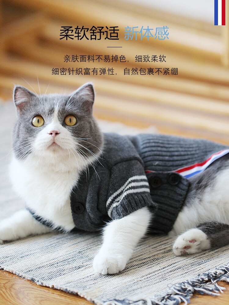 hver gang sensor plantageejer Luksus kat tøj sæt katte vinter varm bomuld kat dyr tøj kæledyr killing  outfit frakke jakker kæledyr produkter oo50wy – Grandado