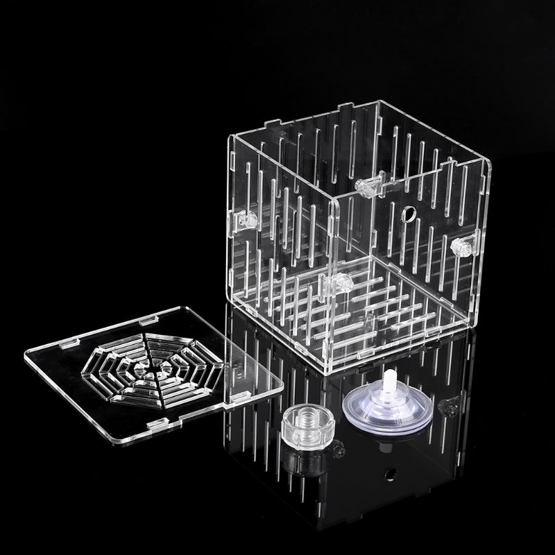 Acrylic Aquarium Fish Breeding Isolation Box With Sucker for Baby Fish Hatchery Incubator Cage